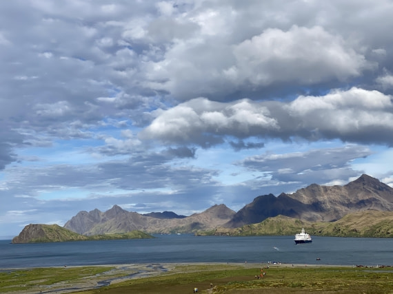 HDS29-26, Day 9, IMG_9095 © Unknown photographer - Oceanwide Expeditions.jpg