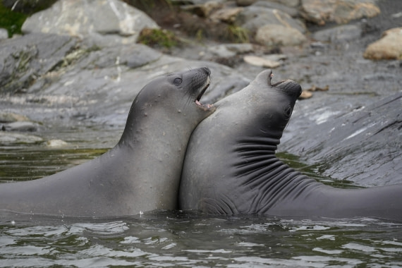HDS29-26, Day 10, DSC08008 © Jessica Bakker - Oceanwide Expeditions.JPG