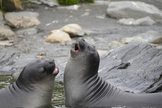 HDS29-26, Day 10, DSC08025 © Jessica Bakker - Oceanwide Expeditions.JPG