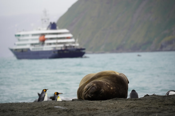 HDS29-26, Day 10, DSC08042 © Jessica Bakker - Oceanwide Expeditions.JPG