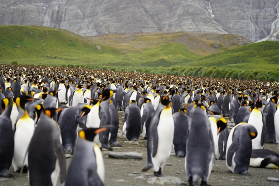 HDS29-26, Day 10, DSC08160 © Jessica Bakker - Oceanwide Expeditions.JPG