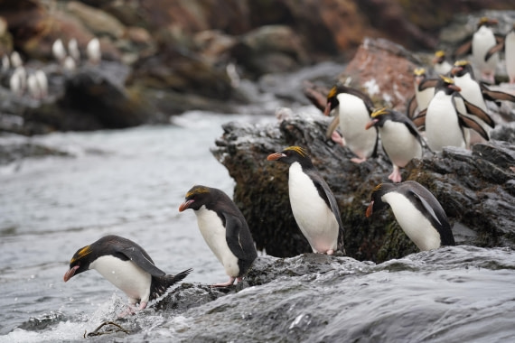 HDS29-26, Day 10, DSC08318 © Jessica Bakker - Oceanwide Expeditions.JPG