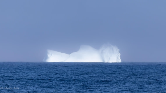 HDS29-26, Day 11, 0Q9A1243 © Martin Anstee - Oceanwide Expeditions.jpg