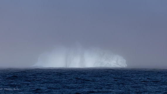 HDS29-26, Day 11, 0Q9A1265 © Martin Anstee - Oceanwide Expeditions.jpg