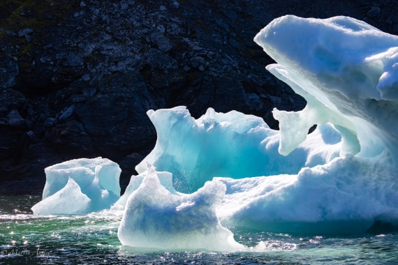 HDS29-26, Day 12, 0Q9A1358 © Martin Anstee - Oceanwide Expeditions.jpg