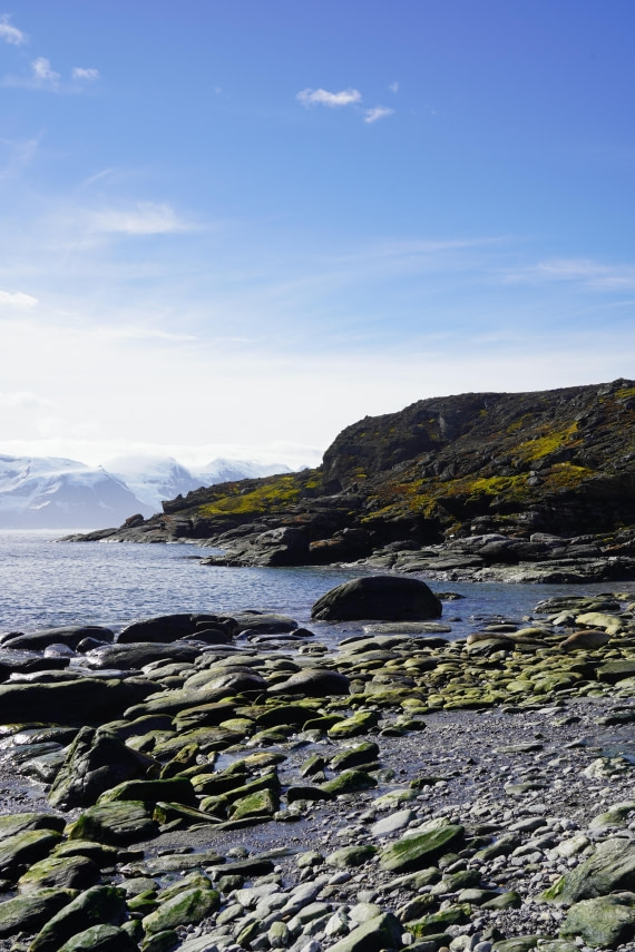 HDS29-26, Day 12, DSC08895 © Jessica Bakker - Oceanwide Expeditions.JPG