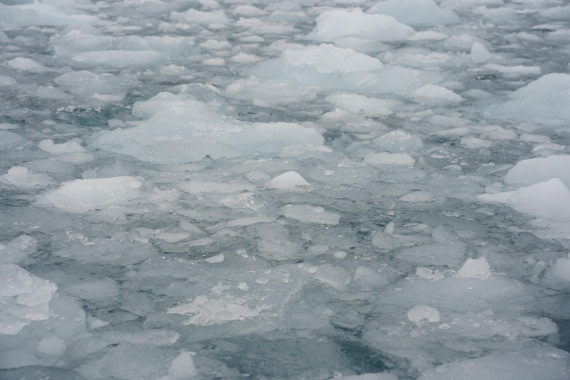 HDS29-26, Day 13, DSC09048 © Jessica Bakker - Oceanwide Expeditions.JPG