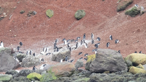 HDS29-26, Day 15, 20260302_171929 © Unknown photographer - Oceanwide Expeditions.jpg