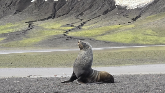 HDS29-26, Day 15, 20260302_174901 © Unknown photographer - Oceanwide Expeditions.jpg