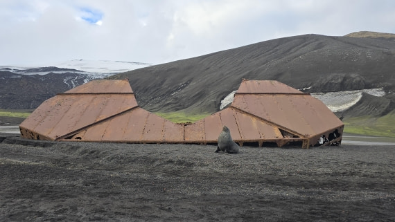 HDS29-26, Day 15, 20260302_175059 © Unknown photographer - Oceanwide Expeditions.jpg