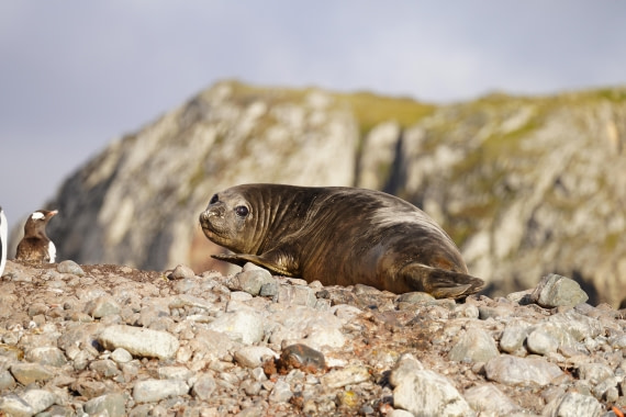 HDS29-26, Day 15, DSC09435 © Jessica Bakker - Oceanwide Expeditions.JPG