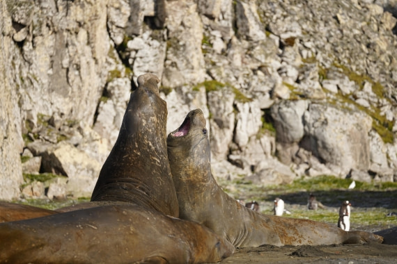 HDS29-26, Day 15, DSC09462 © Jessica Bakker - Oceanwide Expeditions.JPG