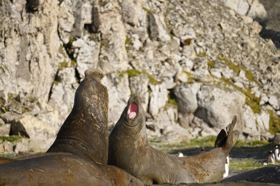 HDS29-26, Day 15, DSC09463 © Jessica Bakker - Oceanwide Expeditions.JPG