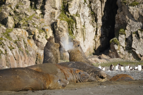 HDS29-26, Day 15, DSC09486 © Jessica Bakker - Oceanwide Expeditions.JPG