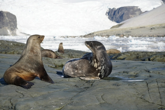 HDS29-26, Day 16, DSC01375 © Jessica Bakker - Oceanwide Expeditions.JPG