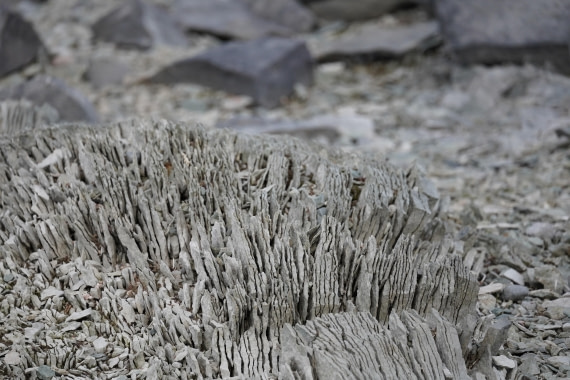 HDS29-26, Day 16, DSC01571 © Jessica Bakker - Oceanwide Expeditions.JPG