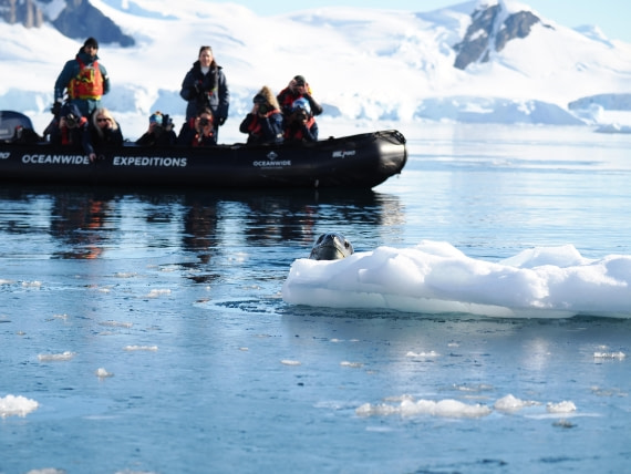 HDS29-26, Day 16, P3031661 © Unknown photographer - Oceanwide Expeditions.JPG