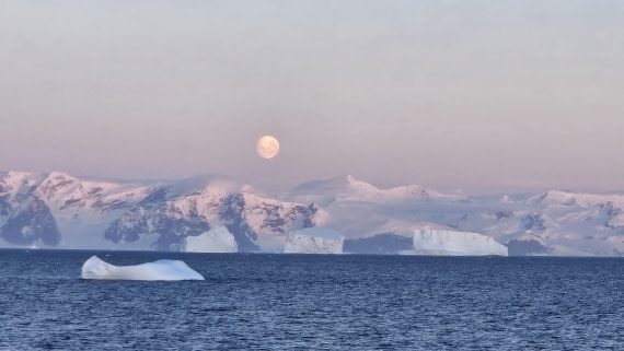 HDS29-26, Day 18, 20260305_203135 © Saskia van der Meij - Oceanwide Expeditions.jpg