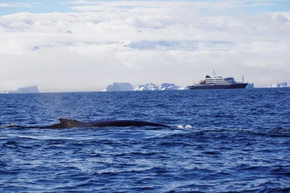 HDS29-26, Day 18, DSC02167 © Jessica Bakker - Oceanwide Expeditions.JPG