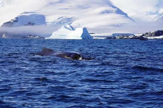 HDS29-26, Day 18, DSC02173 © Jessica Bakker - Oceanwide Expeditions.JPG