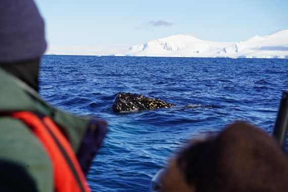 HDS29-26, Day 18, DSC02248 © Jessica Bakker - Oceanwide Expeditions.JPG