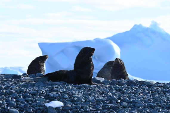 HDS29-26, Day 18, SAS_6678 © Saskia van der Meij - Oceanwide Expeditions.JPG