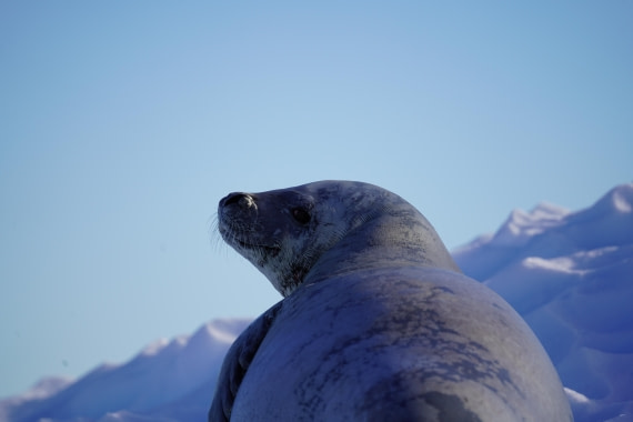 HDS29-26, Day 19, DSC02652 © Jessica Bakker - Oceanwide Expeditions.JPG