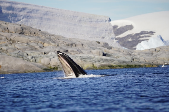 HDS29-26, Day 19, DSC03393 © Jessica Bakker - Oceanwide Expeditions.JPG