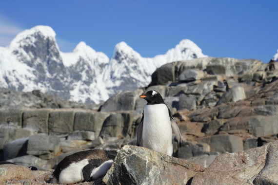 HDS29-26, Day 19, DSC03491 © Jessica Bakker - Oceanwide Expeditions.JPG