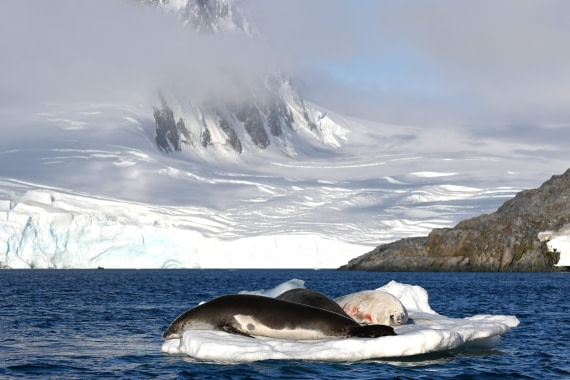 HDS29-26, Day 19, SAS_6949 © Saskia van der Meij - Oceanwide Expeditions.JPG