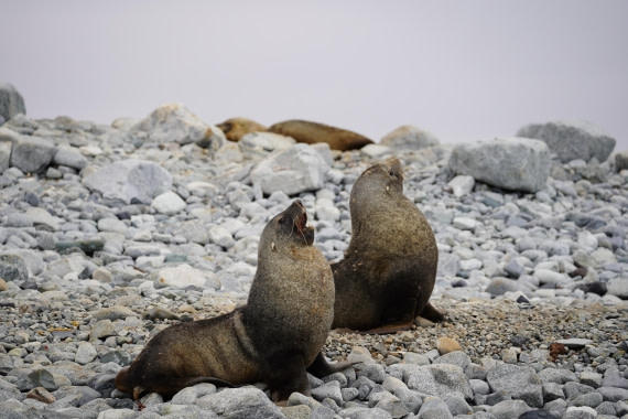 HDS29-26, Day 20, DSC04194 © Jessica Bakker - Oceanwide Expeditions.JPG