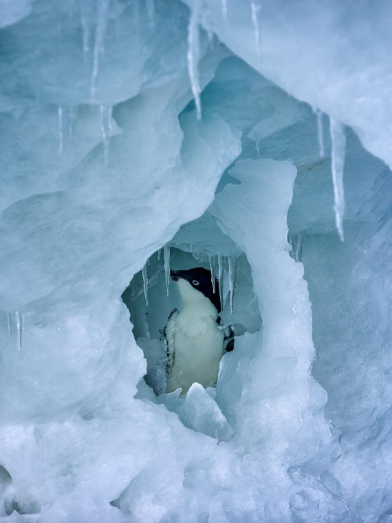An ice cave wanderer
