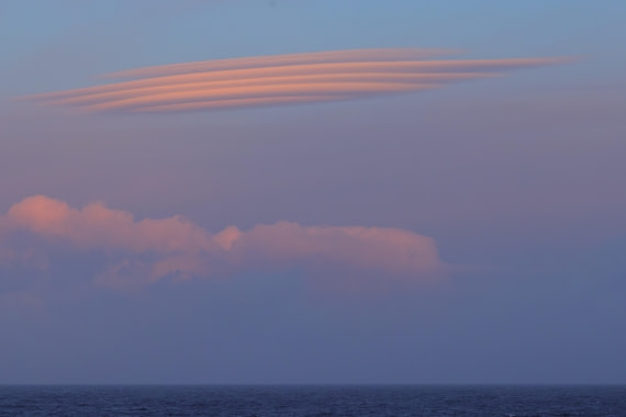 Altocumulus lenticularis at dawn