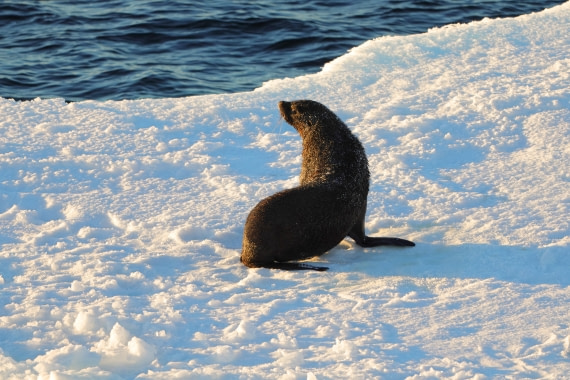 As good a place to sleep as any...