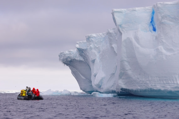 Just looking and wondering