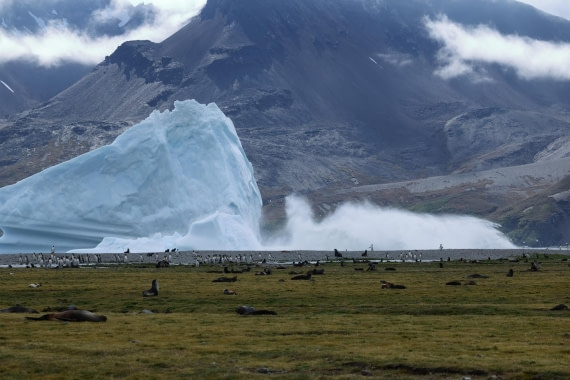 Living dangerously 2