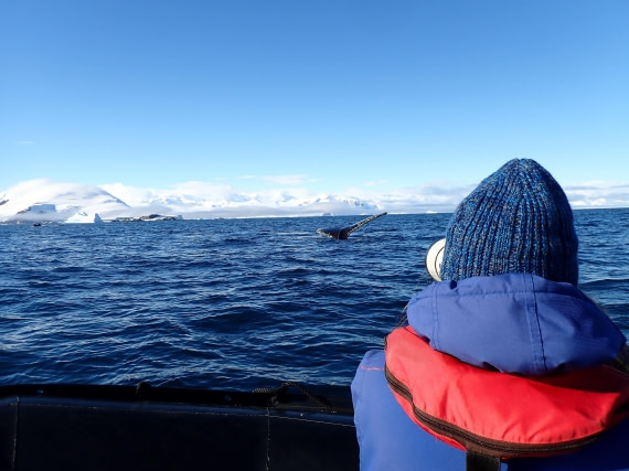 Catching the truely wowing experience