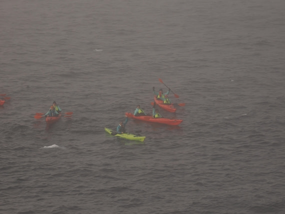 OTL30b26, Day 4, APMG9019.JPG © Andy Perkins - Oceanwide Expeditions.JPG