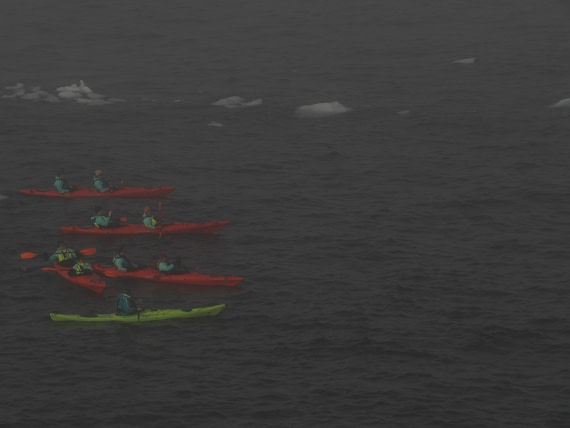 OTL30b26, Day 4, APMG9027.JPG © Andy Perkins - Oceanwide Expeditions.JPG