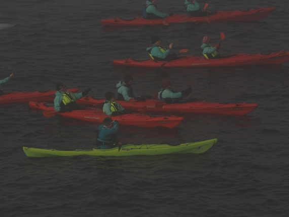 OTL30b26, Day 4, APMG9028.JPG © Andy Perkins - Oceanwide Expeditions.JPG