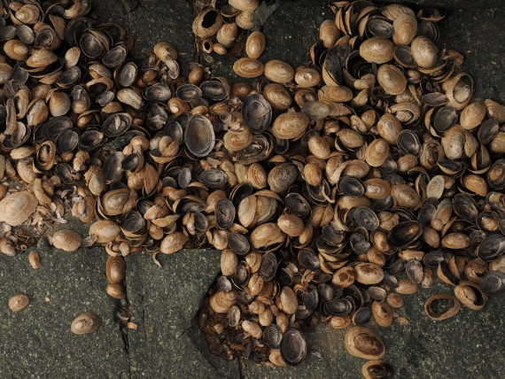 OTL30b26, Day 4, APMG9037.JPG © Andy Perkins - Oceanwide Expeditions.JPG