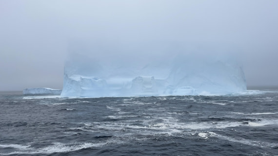 OTL30b26, Day 4, IMG_E6503.JPG © Helene de Meringo - Oceanwide Expeditions.JPG