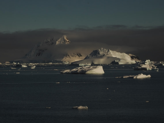 OTL30b26, Day 5, APMG9050.JPG © Andy Perkins - Oceanwide Expeditions.JPG