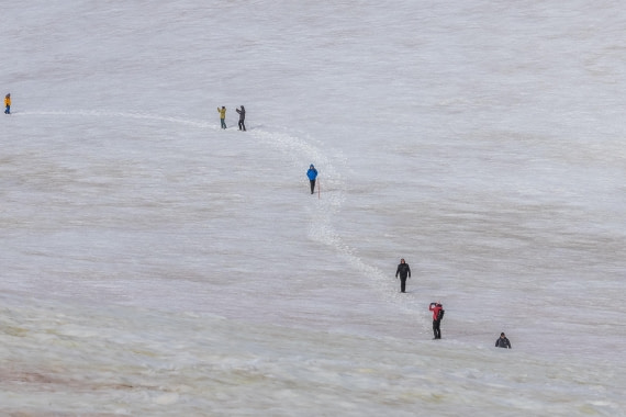 HDS30-26, Day 4, 5D5A0776 © Koen Jongerling - Oceanwide Expeditions.jpg