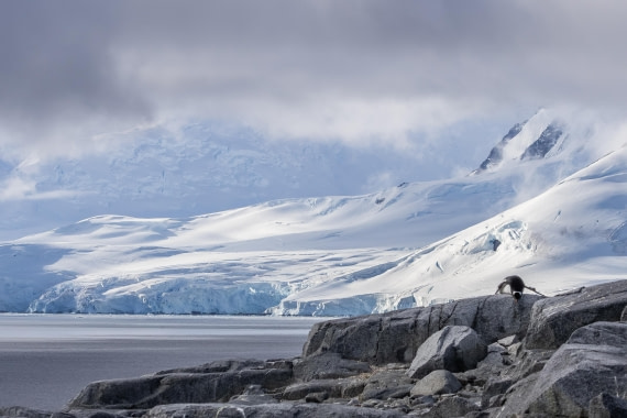 HDS30-26, Day 4, 5D5A0786 © Koen Jongerling - Oceanwide Expeditions.jpg