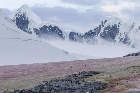 HDS30-26, Day 4, 5D5A0800 © Koen Jongerling - Oceanwide Expeditions.jpg