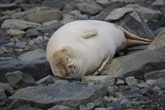 HDS30-26, Day 4, DSC05127 © Jessica Bakker - Oceanwide Expeditions.JPG