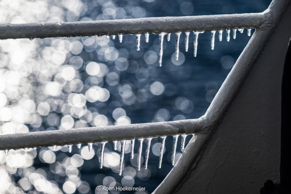 OTL30b26, Day 5, DSC_2618-Edit-2.jpg © Koen Hoekemeijer - Oceanwide Expeditions.jpg