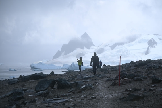 HDS30-26, Day 4, SAS_7217 - Danco © Saskia van der Meij - Oceanwide Expeditions.JPG