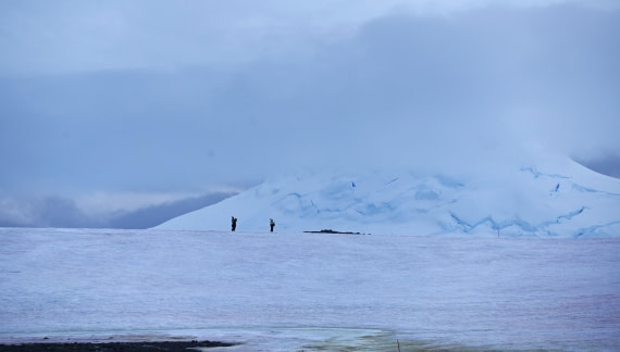 HDS30-26, Day 4, SAS_7275 - Damoy © Saskia van der Meij - Oceanwide Expeditions.JPG